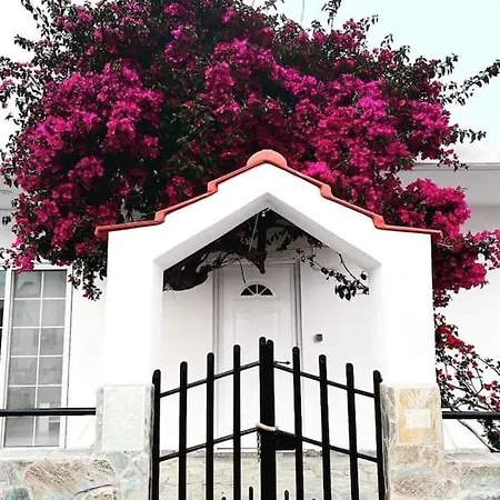 Annika's Summer Dream * Livadia (Tilos)