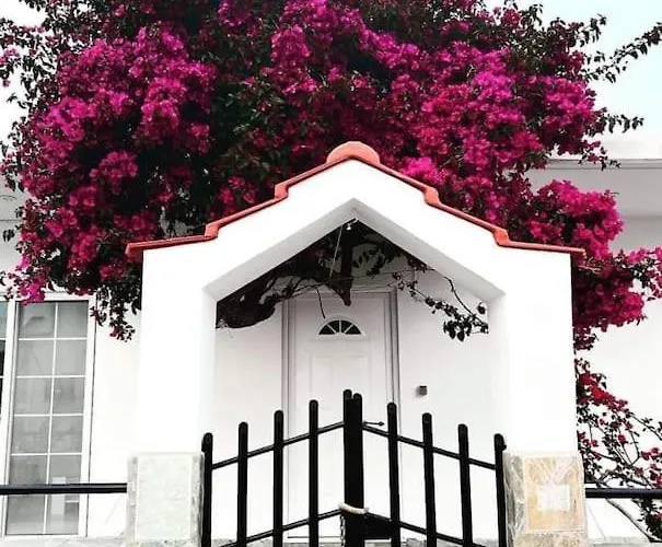 Annika's Summer Dream * Livadia (Tilos)